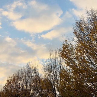 Azzurro bianco e giallo