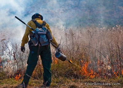 Cades Cove Prescribed Burn in the Great Smoky Mountains National Park Final Day for 2011