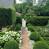 Boxwood and white flower hedges