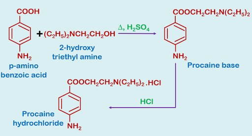 SYNTHESIS OF PROCAINE HYDROCHLORIDE