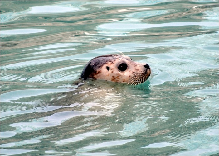 2013_08_Alaska 442