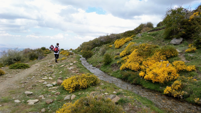 Acequia de las Chorreras,Sierra Nevada.Pepita Estévez