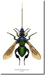 !B6wBO8wBmk~$(KGrHqUOKikEyZMqnFvZBMyYKI7sQw~~-1_3