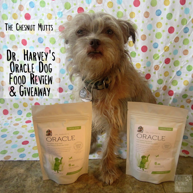 The Chesnut Mutts Dr. Harvey's Oracle Dog Food Review and Giveaway