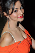 Shilpi Sharma Photos at Green Signal Audio-thumbnail-31