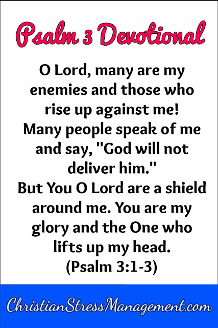 Psalm 3 O Lord many are my enemies and those who rise up against me!