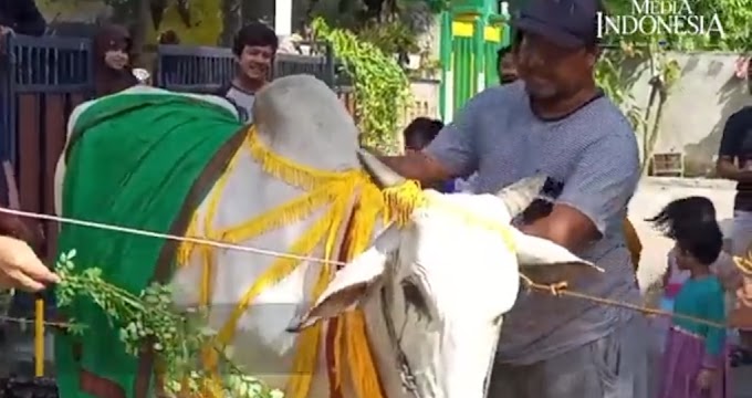 Unik, Warga Hias dan Arak Hewan Qurban saat Idul Adha