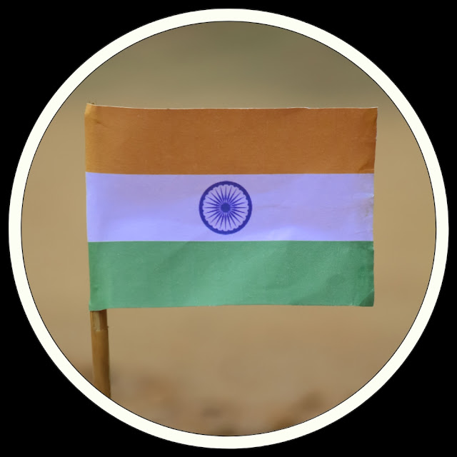 Indian Flag DP For Whatsapp