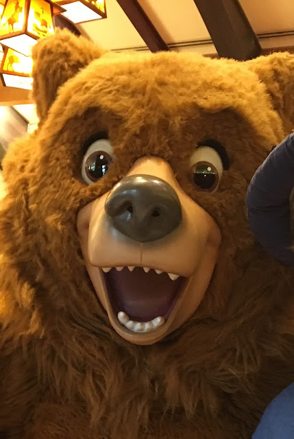 Kenai Brother Bear Character Grand Californian Character Breakfast Disneyland