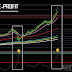 Is the avalanche of markets here? Or it just woke up before continuing the journey to the moon