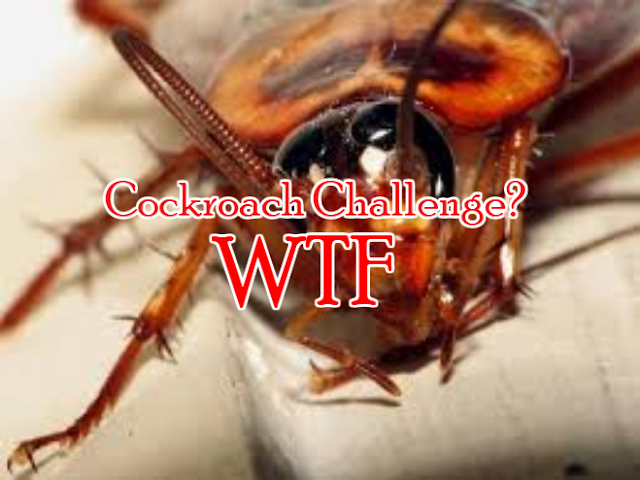 Cockroach Challenge. Uerk.