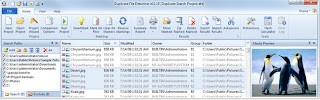 Free Download Duplicate File Detective 4.3.54 with Patch Full Version