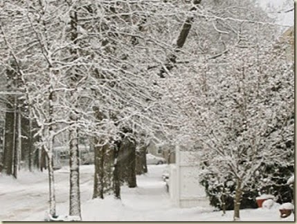 SNO 3