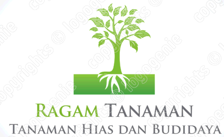 Model Rak  Untuk  Tanaman  Hias  Ragam Tanaman 