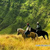 PAKET TOUR BROMO PANORAMA