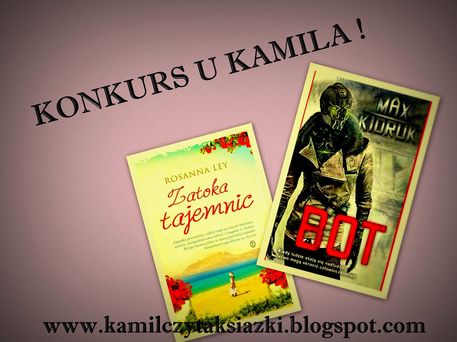 http://kamilczytaksiazki.blogspot.com/2014/09/to-juz-po-roku-zatem-czas-na-konkurs.html