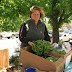 Stanthorpe Farmer's Market