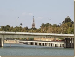 IMG_7993 - copia