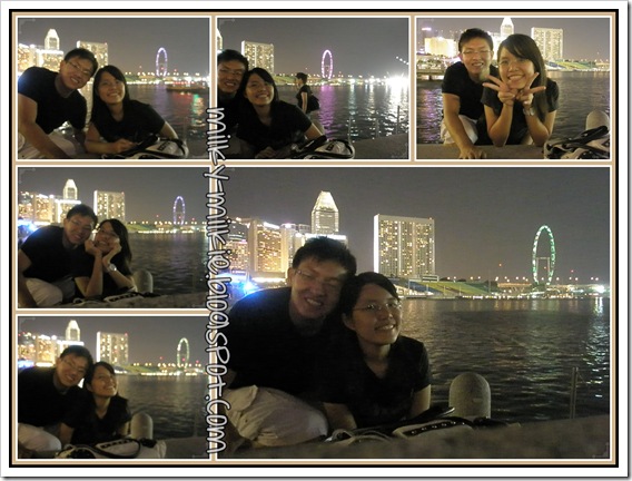 JS Merlion