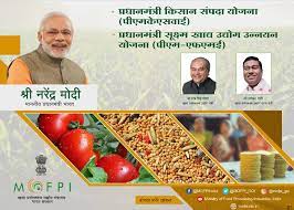 प्रधानमंत्री सूक्ष्म खाद्य उन्नयन योजनांतर्गत उद्योग निर्माण हेतु अनुदान