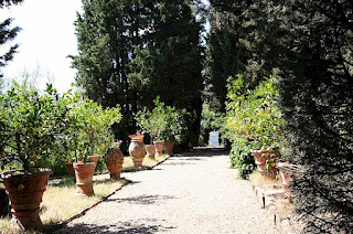 Italian Terracotta Garden Decorations