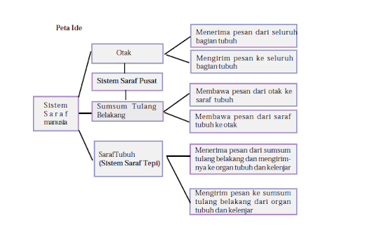 Skema sistem saraf