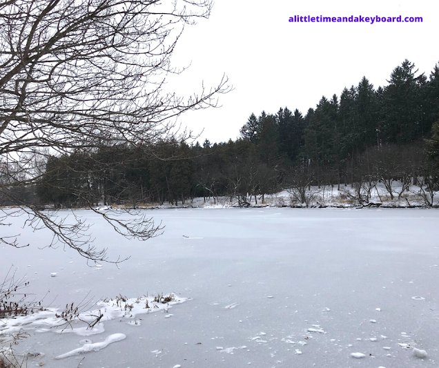 Winter calm at frozen Lake Marmo at The Morton Arboretum.