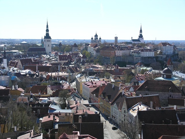 P5027547