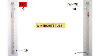 wintrobes tube used for measurement of ESR