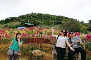   sirao garden, sirao garden how to get there, sirao garden address, how to go to sirao flower farm from cebu city, sirao garden opening hours, sirao flower farm to temple of leah, sirao garden map, mystical rose garden cebu, sirao garden 2017