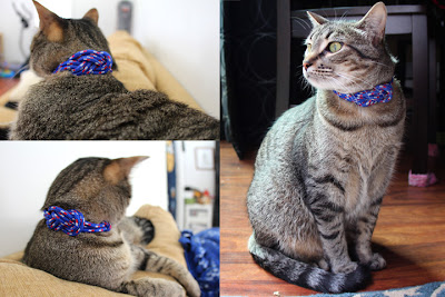 4th July lope cat collar 02