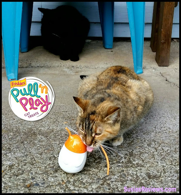 Friskies® Pull 'n Play 