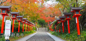 [京都] 鞍馬寺の紅葉