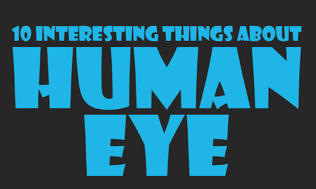 interesting facts about human eye