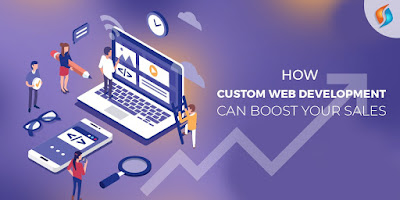 custom web development service delhi