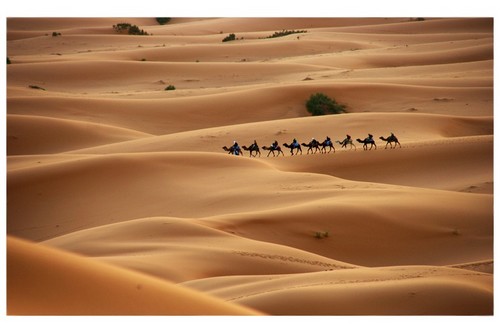 The Sahara Desert in Africa