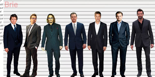 Tom Cruise, Robert Downey Jr., Johnny Depp, Matt Damon, Brad Pitt, Leonardo DiCaprio and Hugh Jackman standing