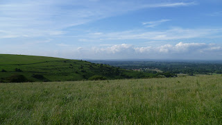 South Downs National Park South Downs Chanctonbury Ring Cissbury Ring Bignor Hill Truleigh Hill Devil’s Dyke Brighton Worthing Steyning Washington Storrington Ashington Hills downs sheep countryside England English South East England Arundel Amberley pond sheep dip dew pond South Downs Way drovers’ tracks vegetation woodland woods Arun river valley Adur river valley scarp slope downland Wiston Park A24 Shoreham by Sea Sompting Chiltington Fulking Poynings A23 Brighton Slindon Chichester Parham House Winchester Midhurst Pulborough Petworth rolling gentle cattle Arundel Castle Bury 