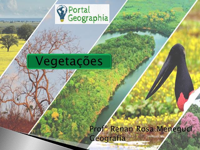 slides portal geographia