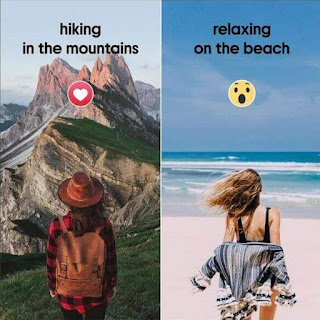 mountains or beach