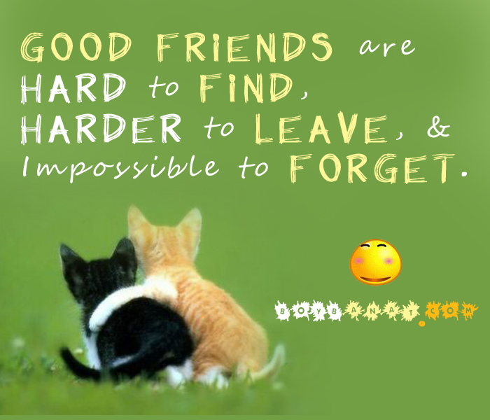 Friend Sayings For Boys images