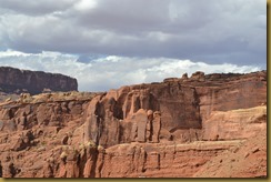 Arch camel1