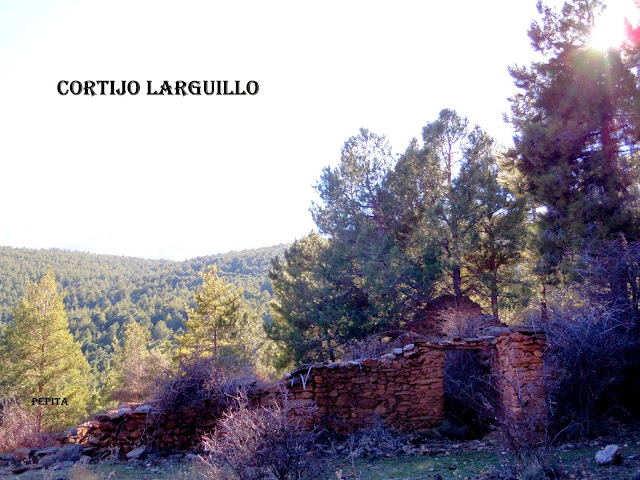 Cortijo de Larguillo.Jérez del Marquesado