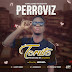 Fresh Music Alert: Download “Toruto” by Perroviz