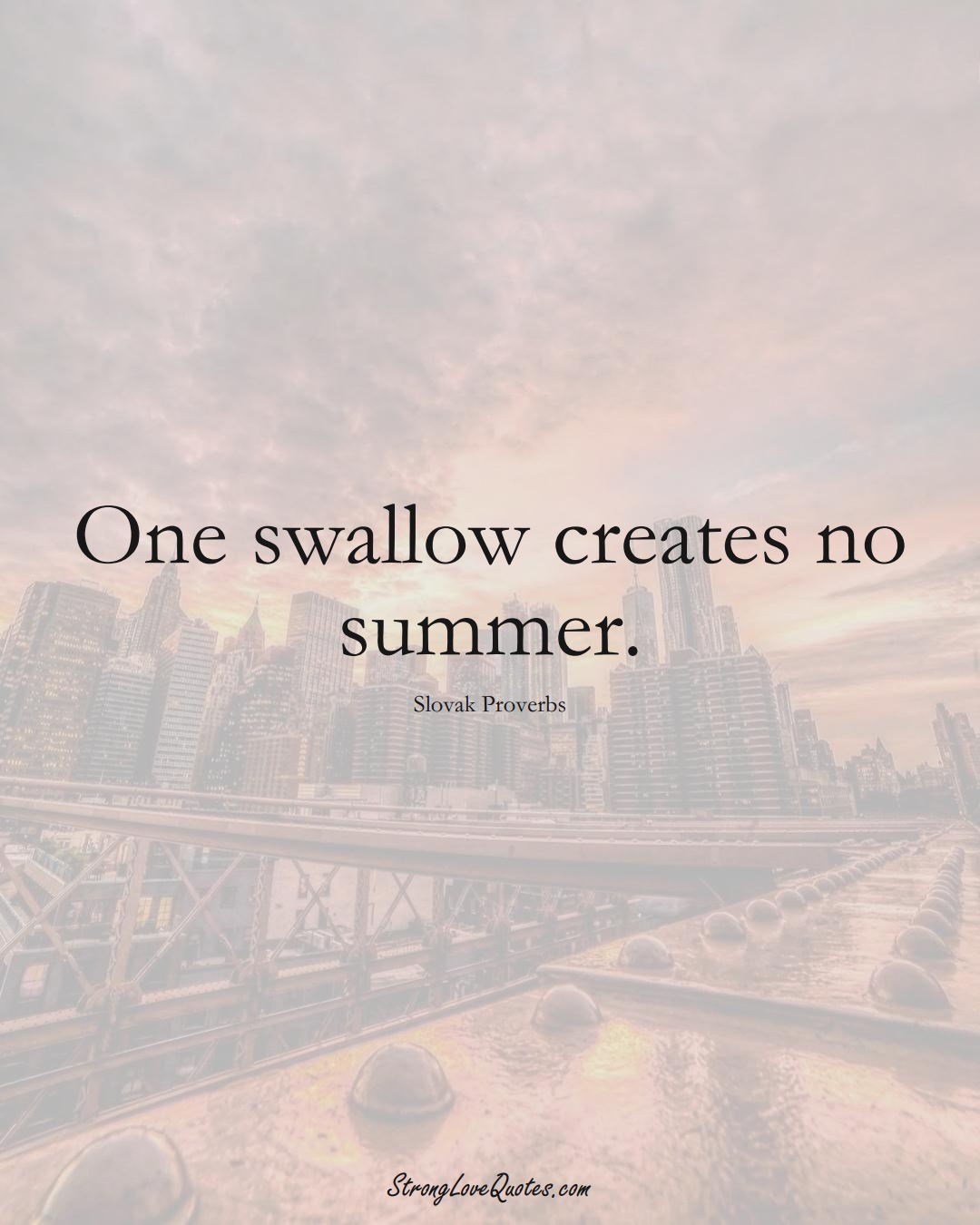 One swallow creates no summer. (Slovak Sayings);  #EuropeanSayings