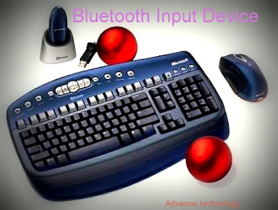 input device