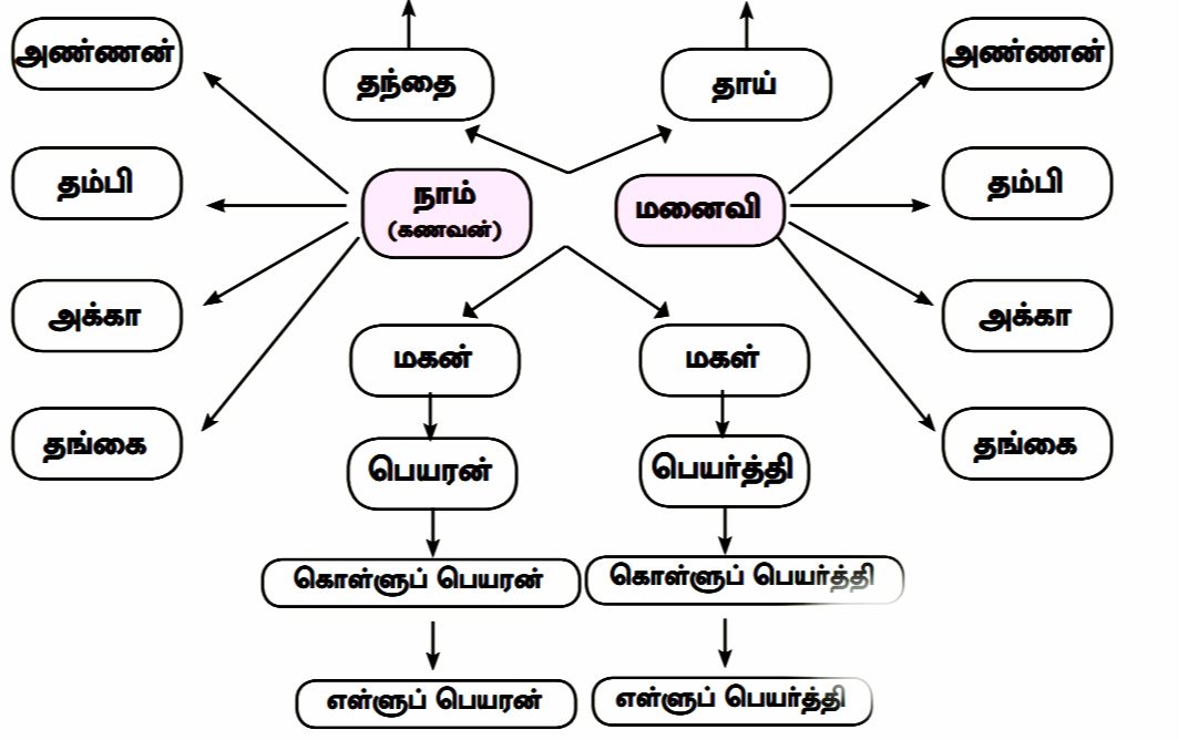 Samacheer Book 12th Tamil unit 3.1 தமிழர் குடும்ப முறை Book Answers Guide