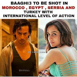 Baaghi 3 - 2020 ~ cast budget box office business hit or flop movie report 