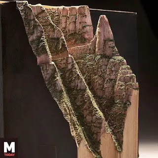 صور مذهلة من المنحوتات على الكتب .. من أعمال Guy Laramee