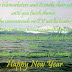 Funny New Year Wishes